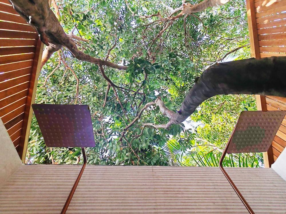 Coliver - Coliving A La Reunion Saint Pierre Exterior foto