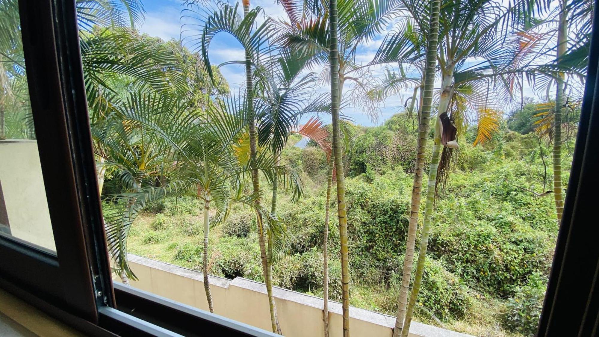 Coliver - Coliving A La Reunion Saint Pierre Exterior foto